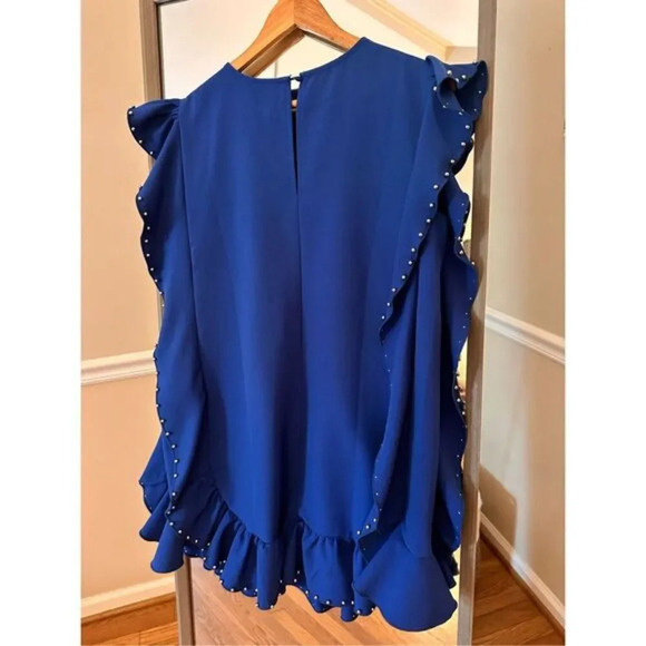 Clara Ruffle Trim Embellished Dress Size Large - Picture 5 of 5